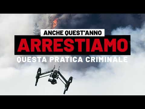 Campagna antincendio Calabria Verde.