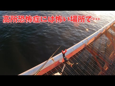 #378【エビ撒き】高所恐怖症を耐えながら釣れた魚は・・・？