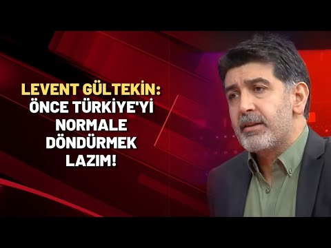 Levent Gültekin: Önce Türkiye'yi normale döndürmek lazım!