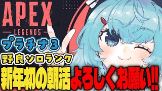 【APEX/プラチナ3】新年初の朝活だ！初見さんもおはよう🌞キーマウソロランク【ゆるりめぐ/vtuber】