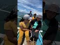 Call of the Ocean: Flying fish 'steals' woman's smartphone in viral video