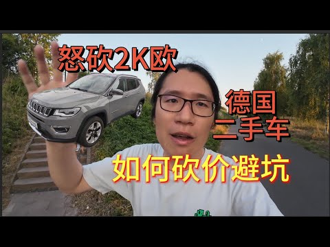 我在德国买二手车,如何砍价避坑!