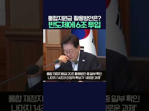 통합지원금 20조 활용처 <strong>보니</strong>... 반도체에 6조 투입