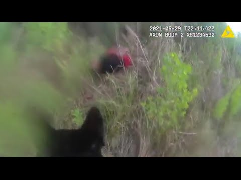 Volusia County K9 Captures 2 Car Theft Suspects