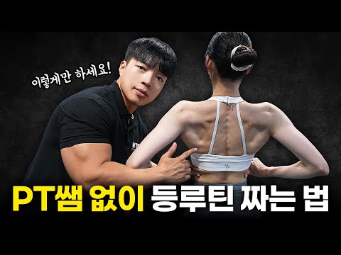 평생 써먹는 ‘등운동 루틴’ 짜는법!! 설명 자세히! [운동순서/횟수/셋트/헬스장 운동기구]