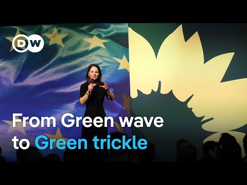 What’s gone wrong for Europe’s Greens as European elections near? | DW News