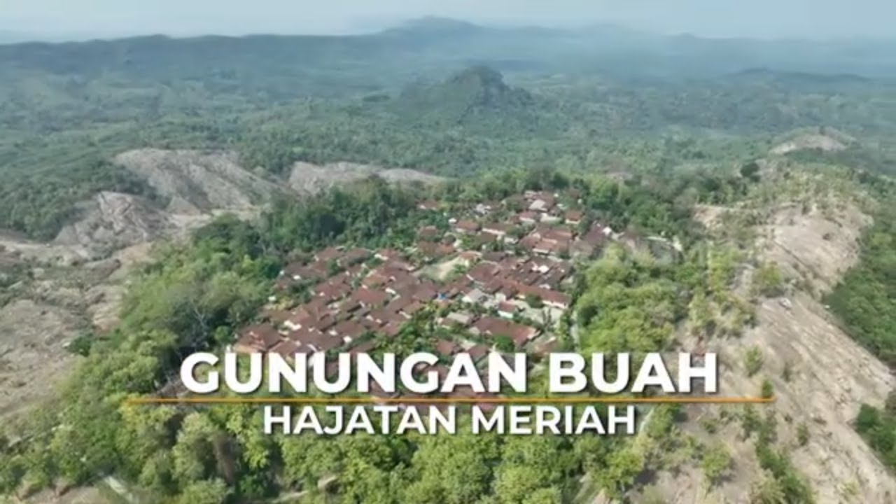 [FULL] Gunungan Buah Hajatan Meriah | SI BOLANG (14/11/24)