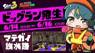 【 スプラトゥーン3】びっぐらん【個人勢VTuber／河童エクマ】