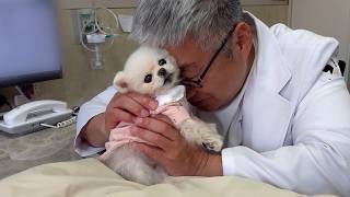 動画サムネイル