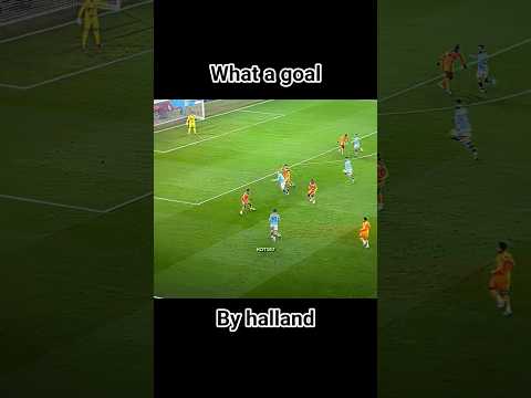 WHAT A GOAL BY HALLAND #futbol#subscribe
