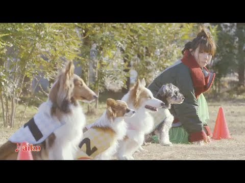aiko new year CM 2018