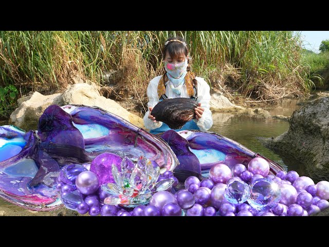 🔮🔮 Clam’s Hidden Treasure: Girl’s River Find Becomes Pearl Sensation, Drawing Tourists Worldwide