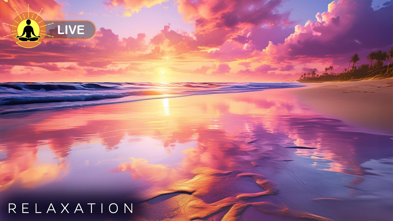 🔴 Beautiful Tropical Shoreline Music 24/7 - Relaxing Music, Stress Relief, Meditation | Ocean Sounds
