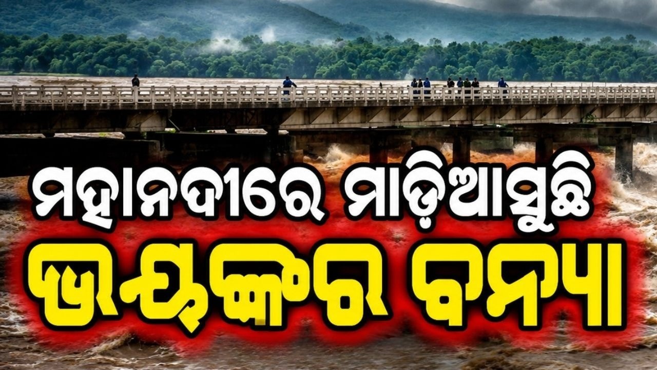 Massive Flood Alert In Mahanadi River: Coastal Odisha On High Alert | Argus News