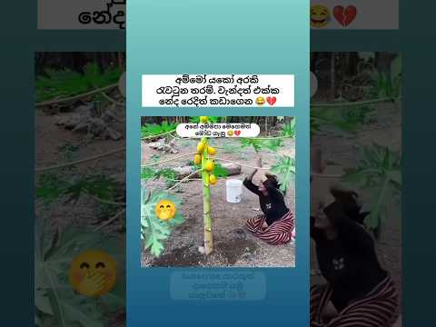 අනෙ අම්මපා මෙහෙමත් මෝඩ ගෑනු 😂🤭 Sinhala funny meme 😂 #shorts #funny #trending #viral #sinhala #jokes