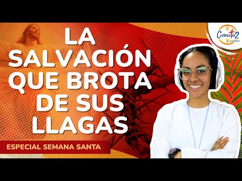 Conectados en Familia: “La salvación que brota de sus llagas”