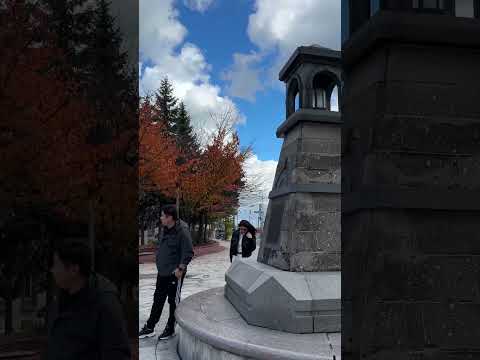 小樽街並2025-10-29