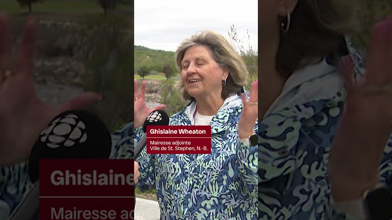 Des écoles francophones en projet dans le sud, mais pour quels élèves?| Vidéojournal #news #canada
