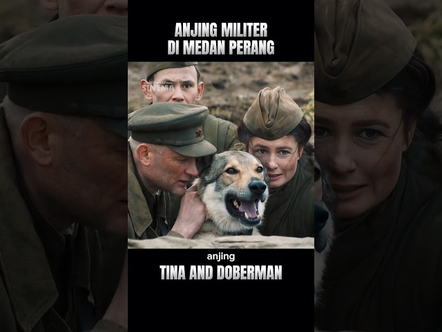 ANJING MILITER INI MENGHANCURKAN TANK JERMAN ‼️ #alurceritafilm #shorts