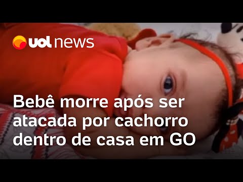 Bebê morre após ser atacada por cachorro dentro de casa em Goiás