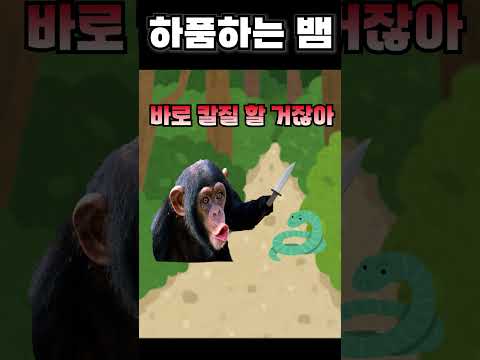 하품하는 뱀