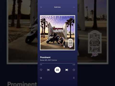 Bonez mc & Raf Camora - Prominent