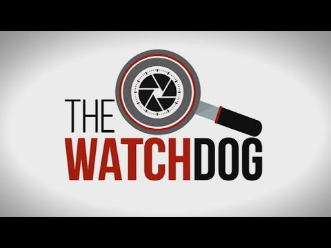 The Watchdog | 09 August 2021