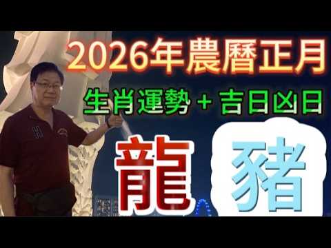 古柏論命每月運勢+吉日凶日】2026年農曆正月(陽曆2/17 ~3/18)生肖運勢分享 -  龍+ 豬                   #八字  #運勢  #沈香  #煙供粉  #末那沈香