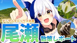 【Vlog】日本最大の山地湿原🌄『尾瀬』に行ってきたのでレポる✨【 #雑談 /#蒼宮よづり #vtuber 】