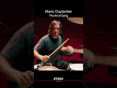 Mario Duplantier - Gojira - The Art of Dying #shorts