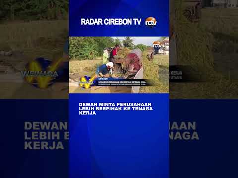 Dewan Minta Perusahaan Lebih Berpihak ke Tenaga Kerja