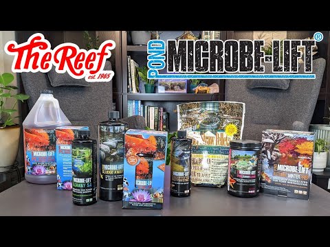 MICROBE-LIFT POND PRODUCTS | TUESDAY LIVE Q&A | Th Welcome to this Tuesday's LIVE Q&A!

Today we will be talking about Microbe-Lift's pond additives! W