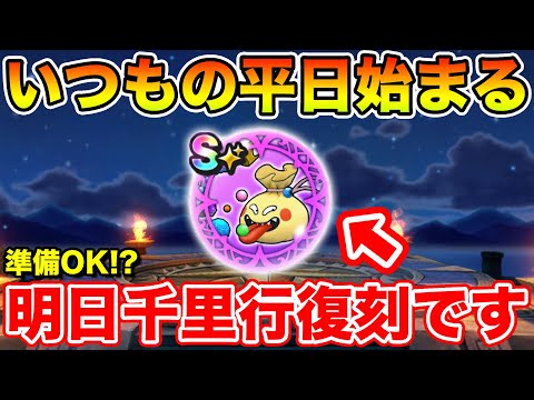 【ドラクエウォーク】いつもの平日が始まりました…!! 明日から毎日千里行が来るぞ～!!【DQW】