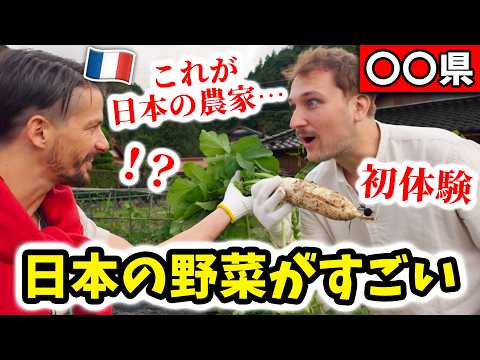 「母国は日本から学ぶべき」フランス人が日本人の国民性に心を奪われた瞬間…🇫🇷🇯🇵