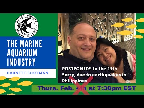 BCAS Feb Meeting - Barnett Shutman - The Marine Aq The online monthly meeting of the Bucks County Aquarium Society. 
This month's meeting will feature 
