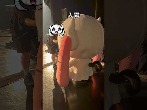 着ぐるみ入退場リハーサル!(ピノキオピー目線) #ピノキオピー #アイマイナ #どうしてちゃん #CREATURES