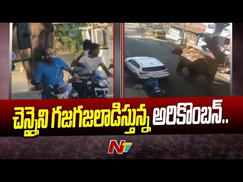 Kerala's elephant "Arikomban" creates chaos in Tamil Nadu, shocking visuals