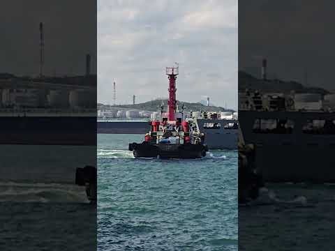 Mipo's daily life - 110