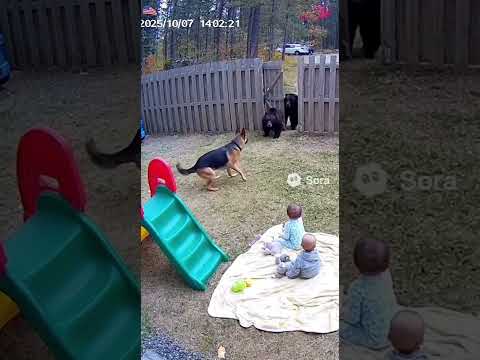 Phillies land All-Star closer Jhoan Duran ahead of MLB trade deadline 👀🔥 #JhoanDuran