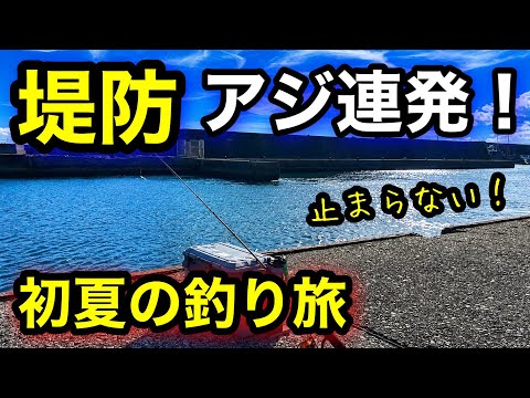【千葉釣り】台風前の海を釣り歩いたら…とんでもなくアジが爆湧きでヤバすぎました!