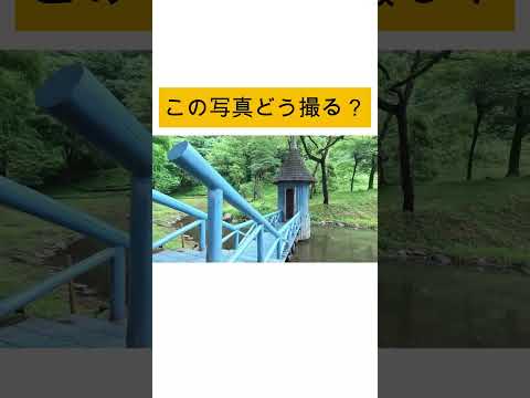 水浴び小屋×手すり #shorts #カメラ #撮影 #撮り方