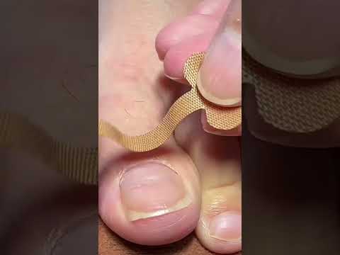 amazon finds gadgets #kitchen #shop #shopping #hack are #home #house #decor have #viral #reels