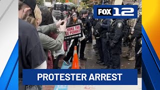 Video from Portland ICE building shows arrest after agents appear to pull protester over line