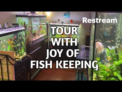 THE FISH BUZZ EPISODE 19 Made with Restream Studio. Livestream on 30+ platforms at once via https_//restream.io

Join us on a