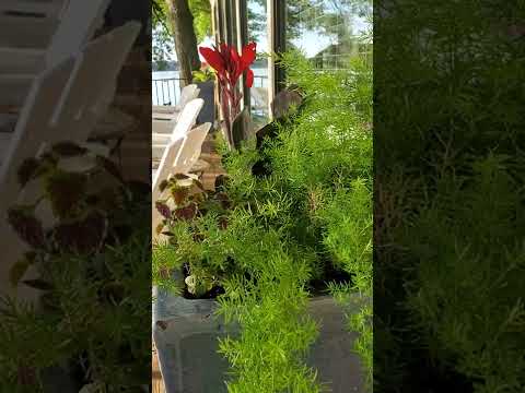 Vidéo de l’hébergement