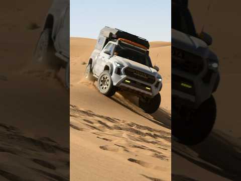 Driving through the Sahara Desert on the Milestones expedition!