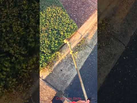 Gardening beautification and pruning management techniques