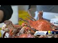 Maryland crab industry calls for tariffs on imported crab meat  - 02:17 min - News - Video