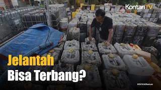 Jepang Ubah Minyak Bekas Jadi Avtur Ramah Lingkungan