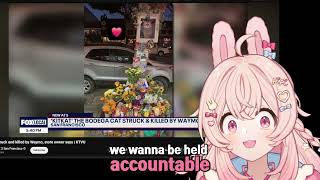 self driving car vs bodega cat